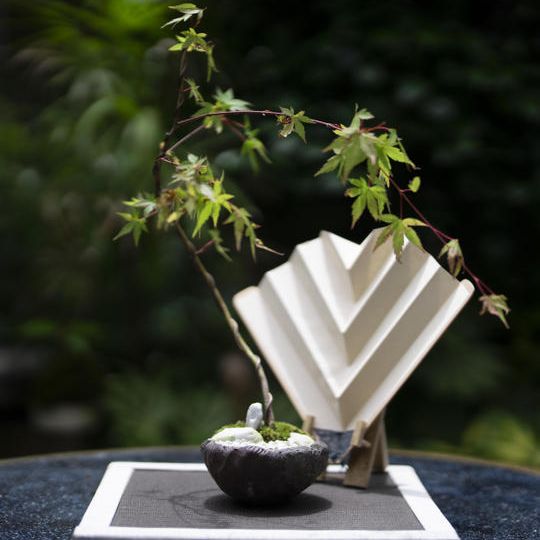 ⑧陶器コラボセット　モミジ（大）