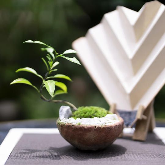 ⑨陶器コラボセット　ユズ（大）