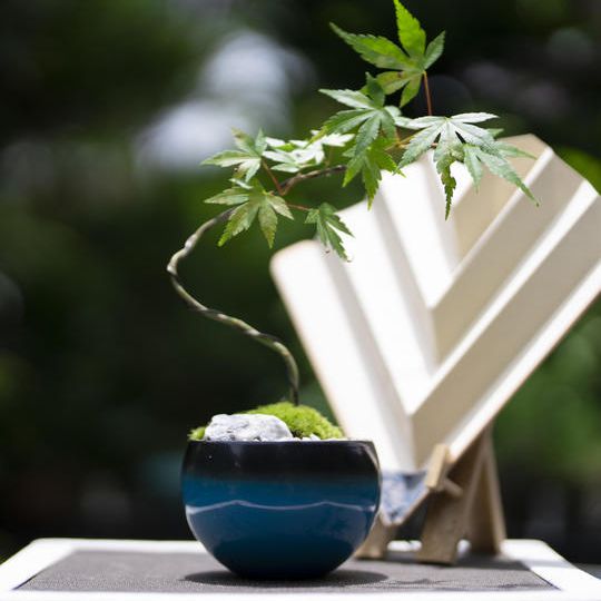 ⑭漆器コラボセット　モミジ（中）