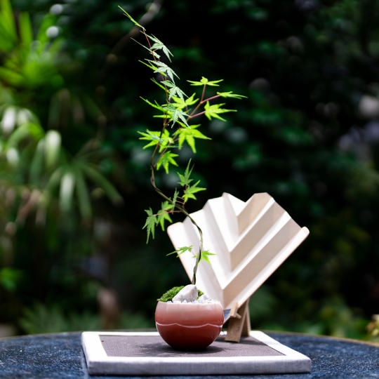 ⑰漆器コラボセット　モミジ（大）