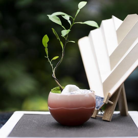 ⑱漆器コラボセット　ユズ（大）