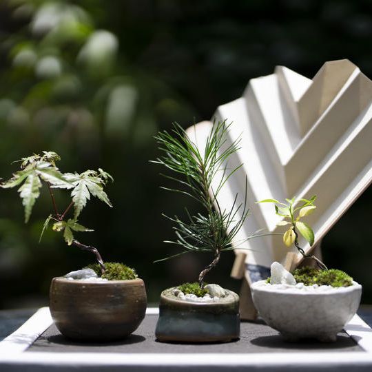 ⑲陶器全セット　ミニ