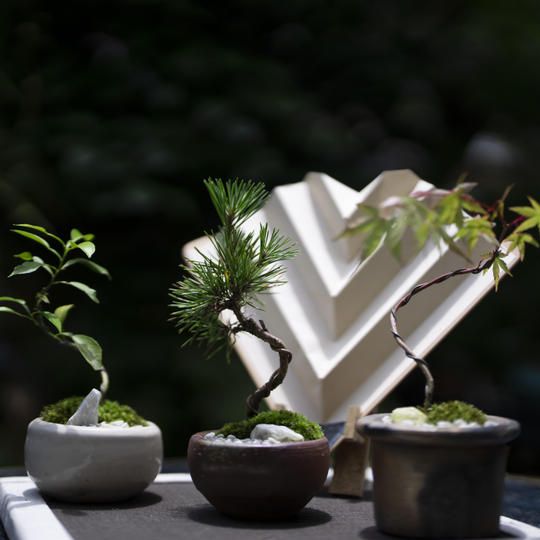 ⑳陶器全セット　中