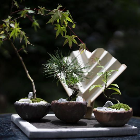 ㉑陶器全セット　大