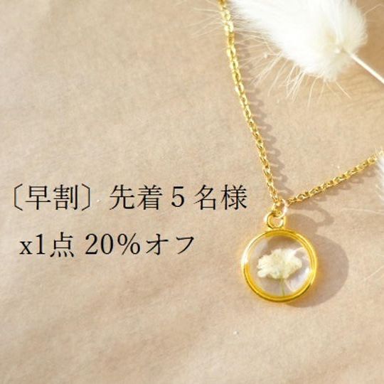 〔早割〕先着5名様 x1点 20%オフ Gypsophilia【ゴールド】