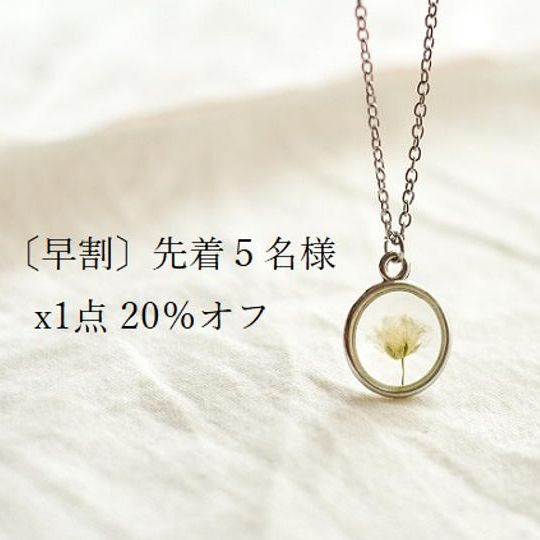 〔早割〕先着5名様 x1点 20%オフ Gypsophilia【シルバー】