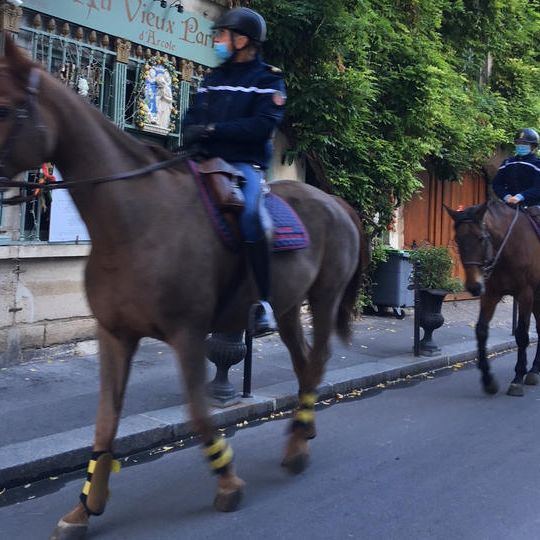 『食とワインのふらんす探検隊』の著者と歩く 、セーヌ河畔、混載ツアー