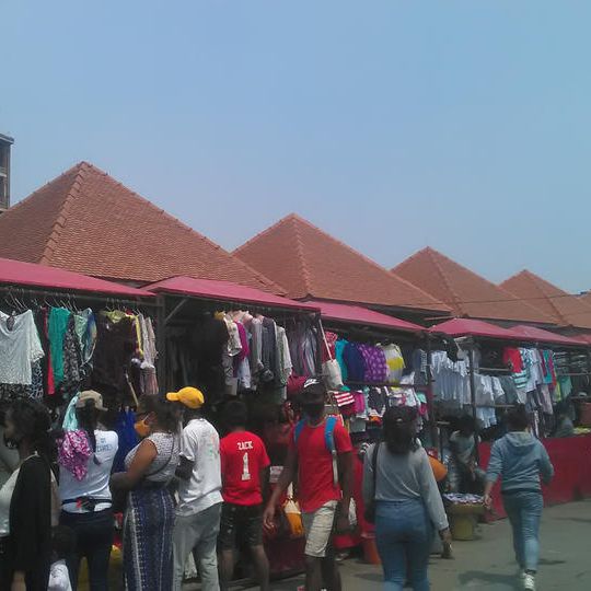 バオバブの並木道・未知の国・マダガスカル、混載ツアー