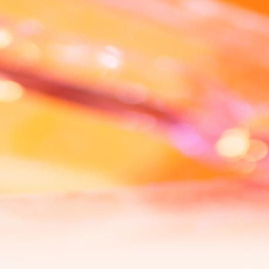 【22年目のラフォルム、さらに頑張っていきたい！！】フルオーダーメード + 最大限のご支援を・・・