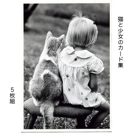 猫と少女のカード集