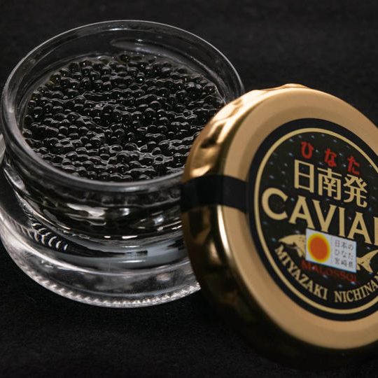 日南発（ひなた）キャビア　20g