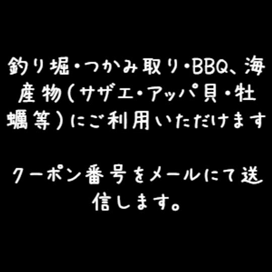 みなみいせレジャー村クーポン券　12000円相当