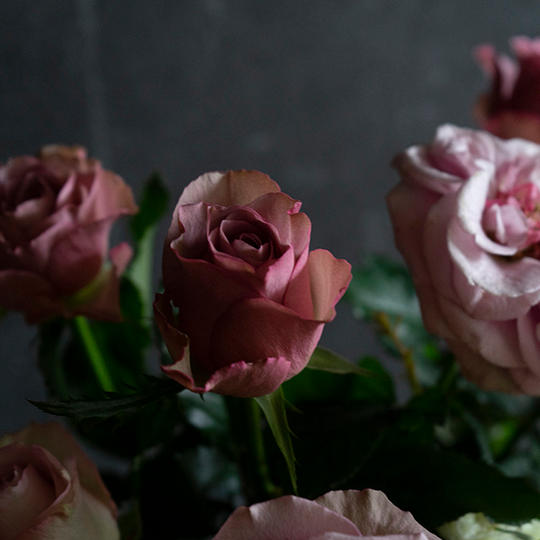 仙台のバラの花束 5 本 色はおまかせ