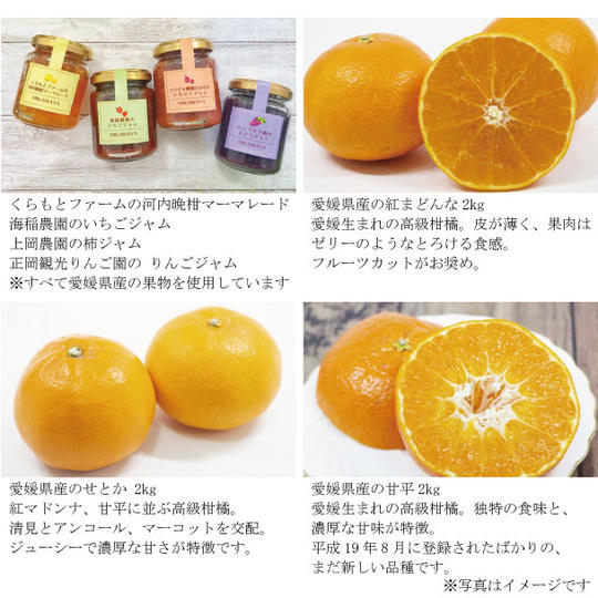 愛媛県産の手作り無添加ジャム・マーマレード4種と 産地直送の「まどんな、甘平、せとか」2kgずつ