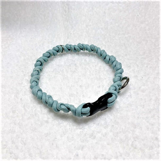 やさしい水色の犬首輪