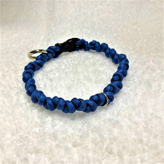 スカッとした青色の犬首輪