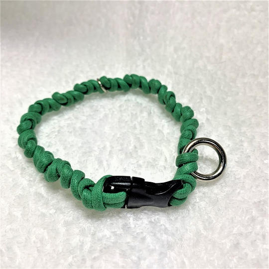 グリーンの犬首輪