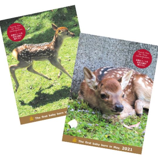 投句権＋寄付金付き子鹿ノート（2種）