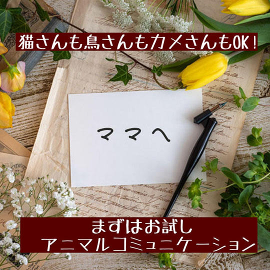 うちの子の気持ち知りたくない？アニマルコミュニケーションまずはお試ししてみませんか♡