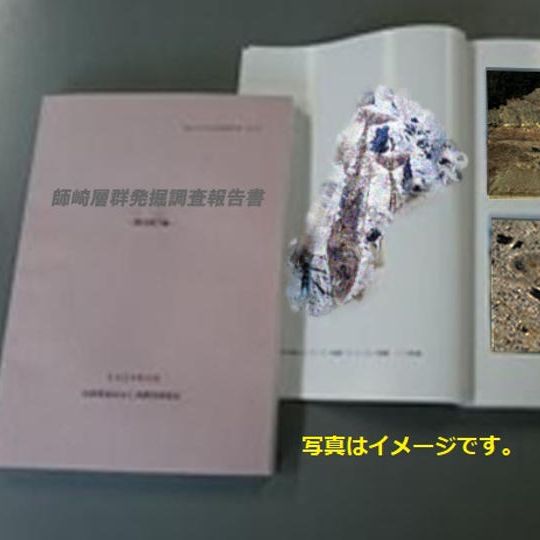 【調べて応援コースA】師崎層群発掘調査報告書(発掘調査短信・動画付き)