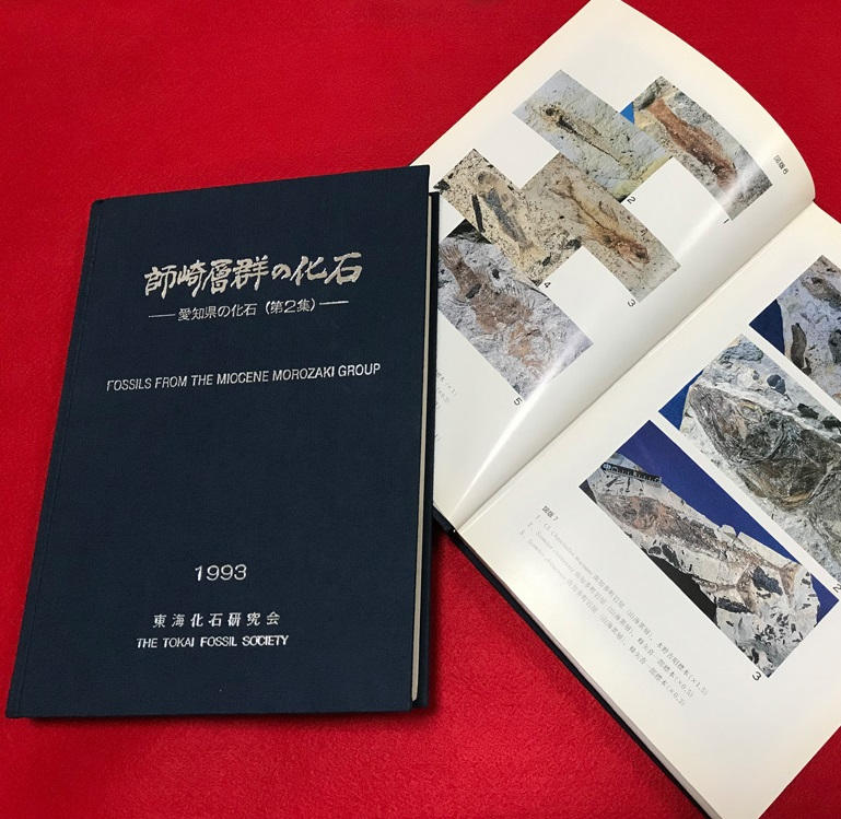 調べて応援コースB】「師崎層群の化石」東海化石研究会編（発掘調査
