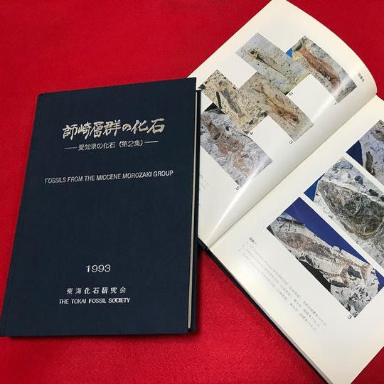 【調べて応援コースB】「師崎層群の化石」東海化石研究会編(発掘調査報告書、短信・動画付き)