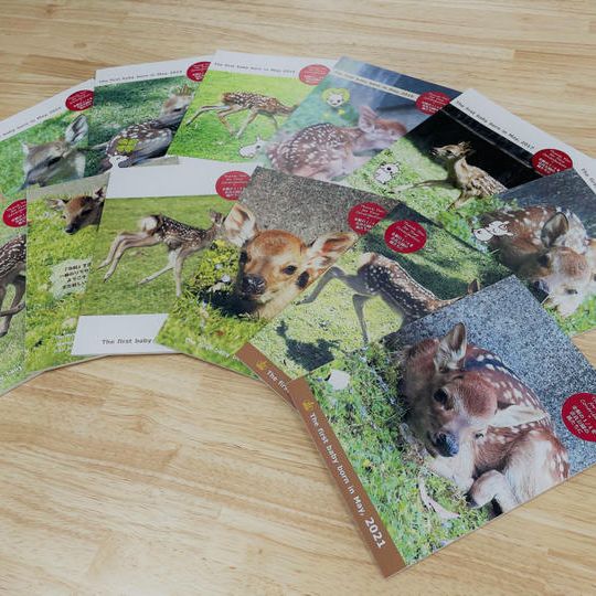 投句権＋寄付金付き子鹿ノート コンプリートセット(各1冊全12種)