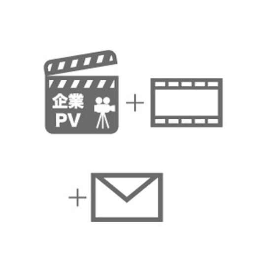 企業PV作成
