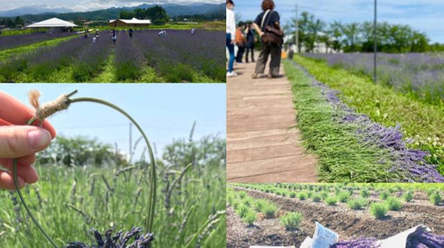 7f9fa8b00cee8a9694dcf244e2f4f0