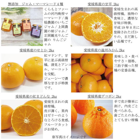愛媛県産の手作り無添加ジャム・マーマレード4種と 産地直送の「まどんな、甘平、せとか、温州、デコポン」2kgずつ