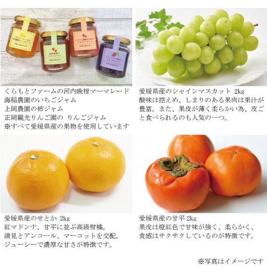愛媛県産の手作り無添加ジャム・マーマレード4種と 産地直送の「せとか、シャインマスカット、富有柿」2kgずつ