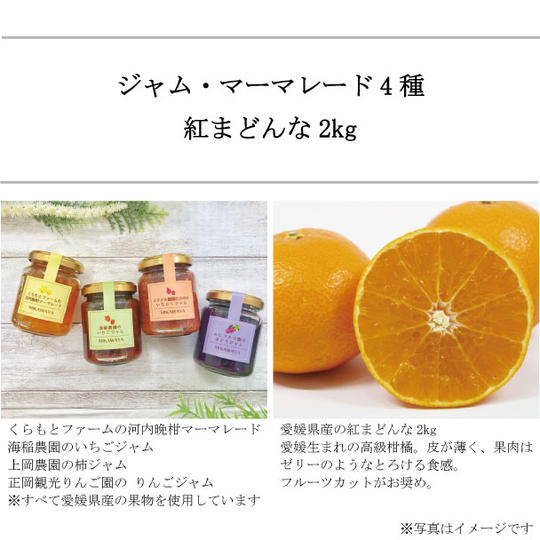 愛媛県産の手作り無添加ジャム・マーマレード4種と 産地直送のまどんな2kg