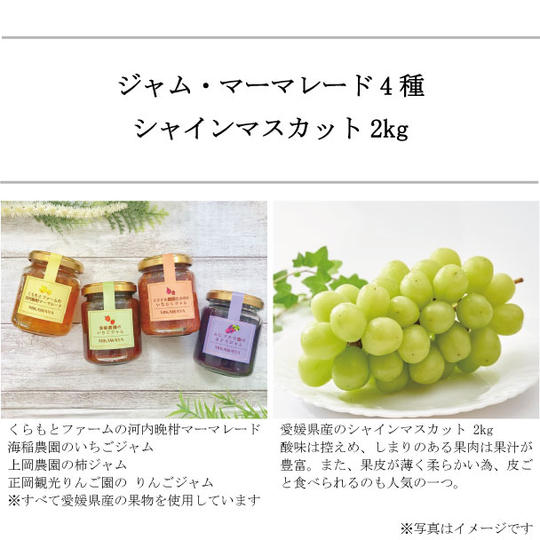 愛媛県産の手作り無添加ジャム・マーマレード4種と 産地直送のシャイマスカット2kg