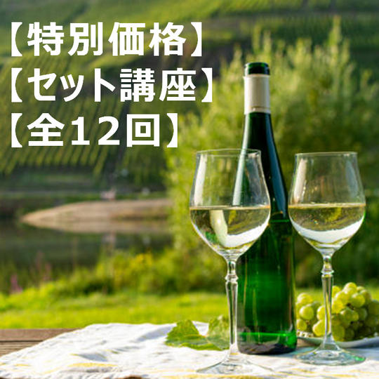 <先着3名、14,200円OFF>【菊間千乃から学ぶ】世界を旅するビジネスワイン講座+前回講座(録画配信、フランス編)