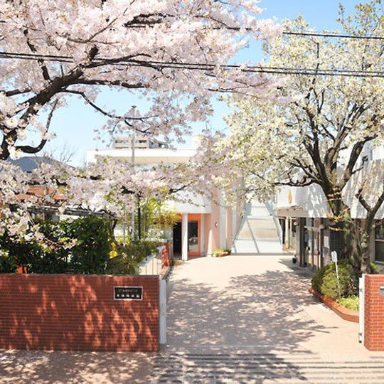 「日体ファミリー」応援コース