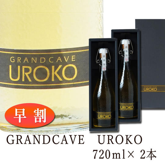 限定【早割】GRANDCAVE UROKO 2本