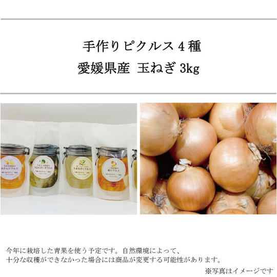 愛媛県産の青果物を使用した手作りピクルス 4種 と、愛媛県産たまねぎ 3kg