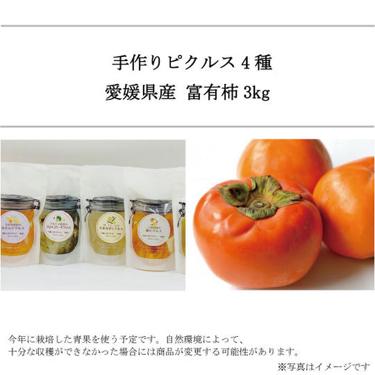 愛媛県産の青果物を使用した手作りピクルス 4種 と、愛媛県産富有柿 3kg
