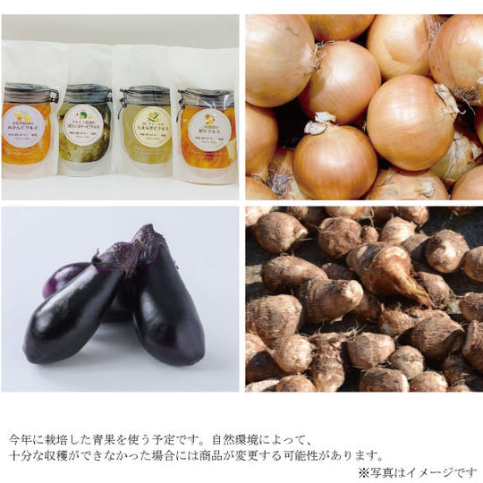 愛媛県産の青果物を使用した手作りピクルス 4種 と、愛媛県玉ねぎ・里芋・なす 3kgずつ