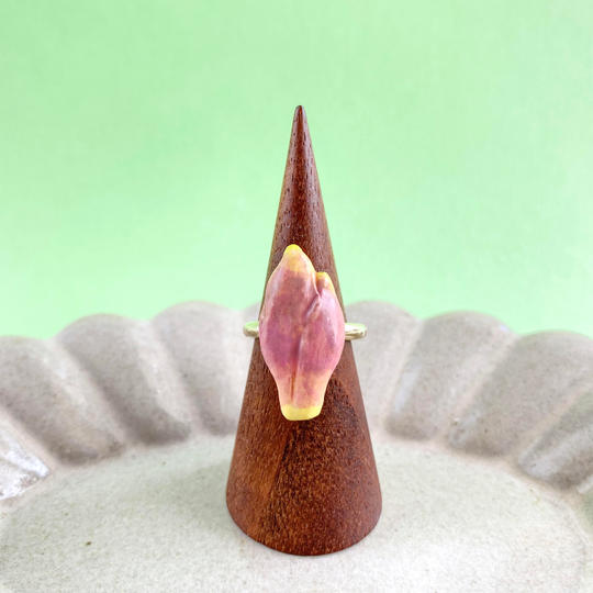 【夏野菜】リング