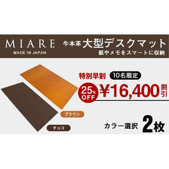 【特別早割 25％OFF】ブラウン ／ チョコ（2色から選択）2枚