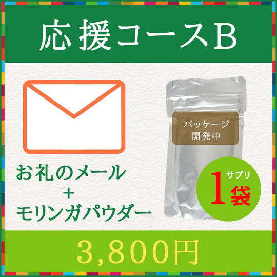 【応援コースB】お礼のメール、モリンガパウダー×1袋