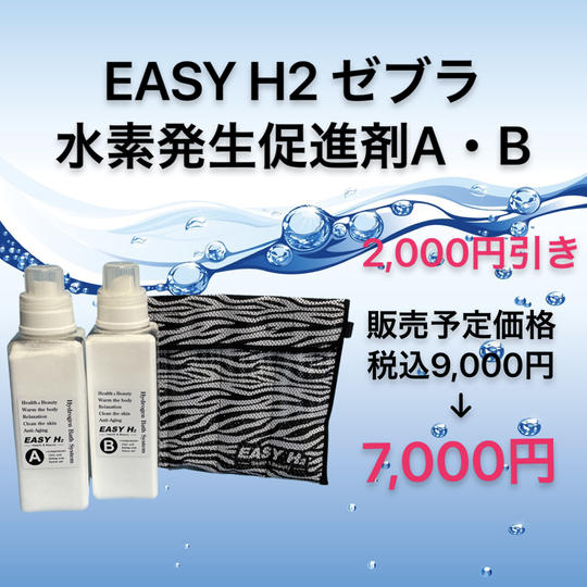 【数量限定2,000円引き】スタートセット（ゼブラ）A・B