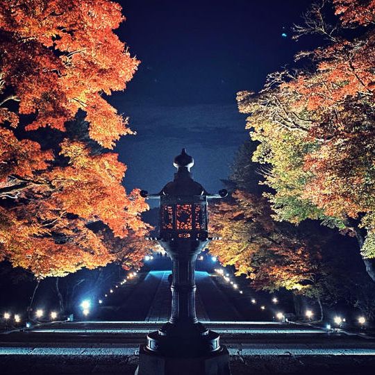 C）ライトアップ「紅葉残照」観賞コース