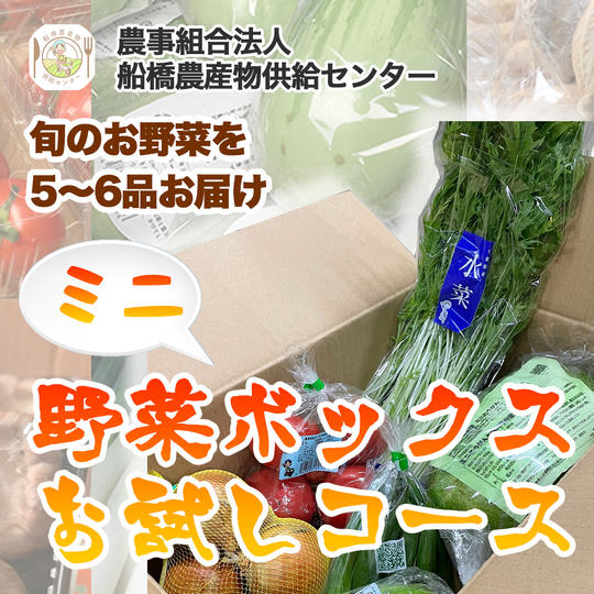 【農育応援団】感謝のお手紙と美味しい野菜通信臨時創刊号コース＋旬の野菜BOX（ミニ）お試しコース