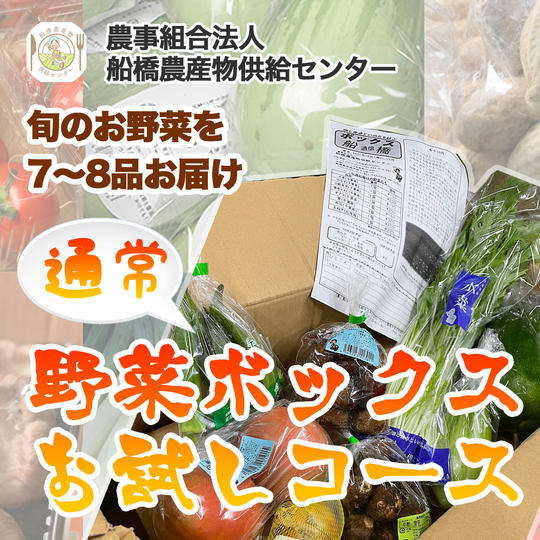 【農育応援団】感謝のお手紙と美味しい野菜通信臨時創刊号コース＋旬の野菜BOX（通常）お試しコース
