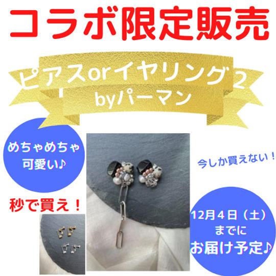 ビーズピアス(イヤリング)シルバーチェーンbyパーマン