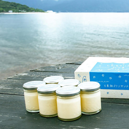 御礼状+しおをかけてたべるプリン・プレーンセット(プリン6個入)