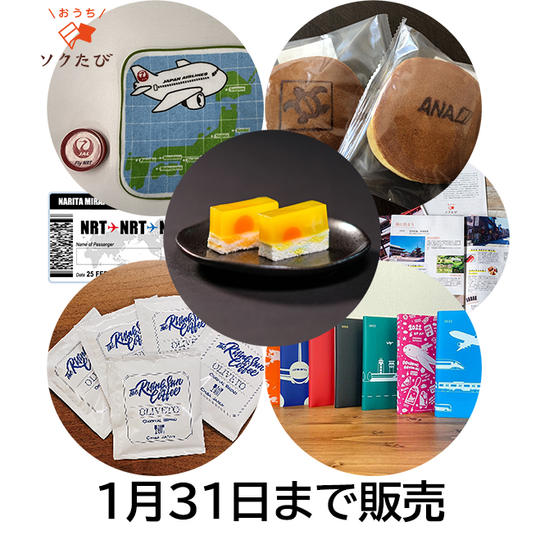 家から応援：成田を感じる未来ギフト（おうちソクたび）【1/31まで】