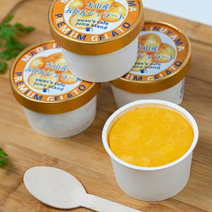 犬山産みかんのジェラート(北海道、沖縄、離島除く)8個入